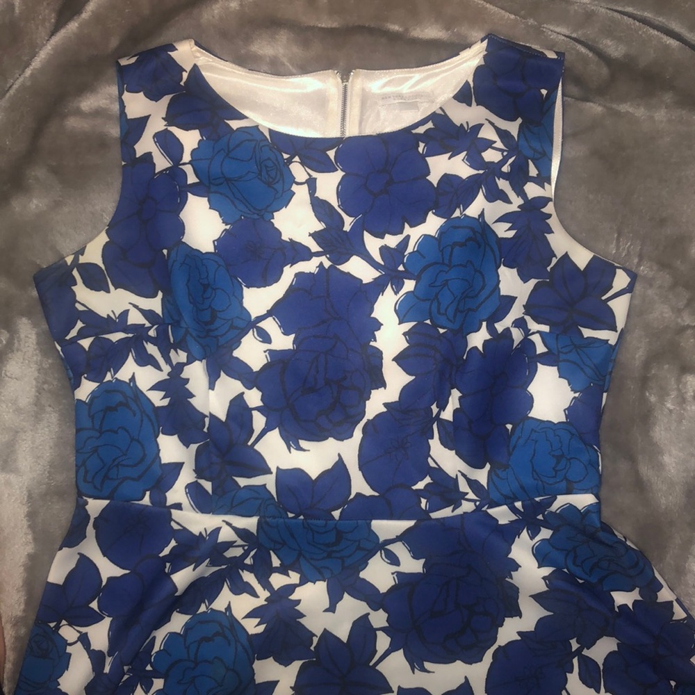 Blue and white floral dress
